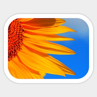 Sunflower Elegance Sticker